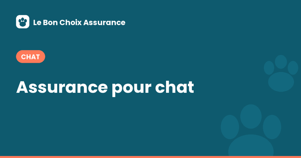 Assurance pour chat