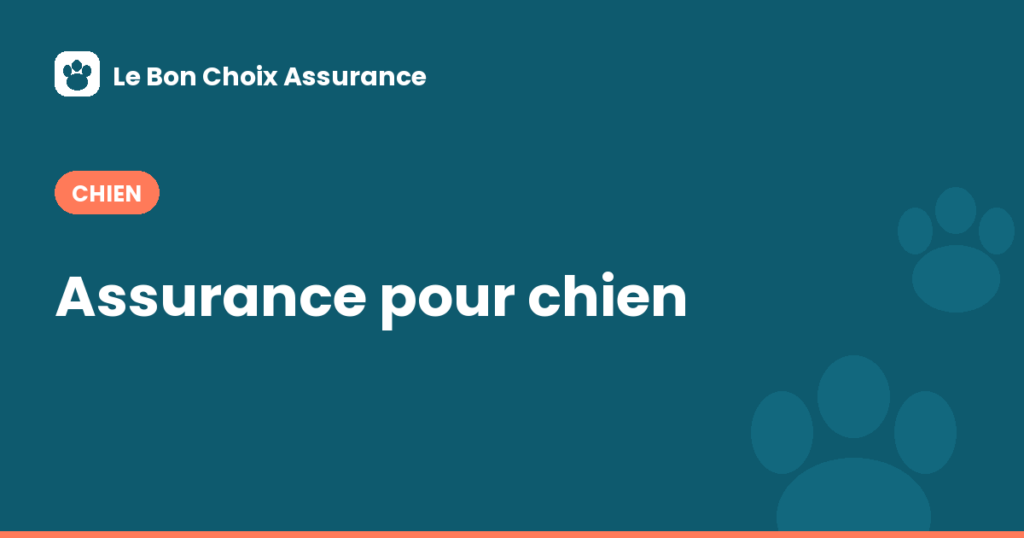 Assurance pour chien